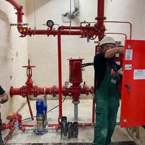 WhatsApp Image 2020-11-16 at 10.41.43